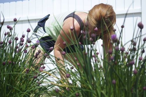 Through the chives