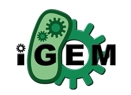 iGEM