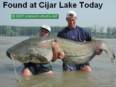 Amazing New Discovery at Cijar Lake!