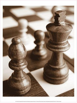 chess 09jul09.JPG