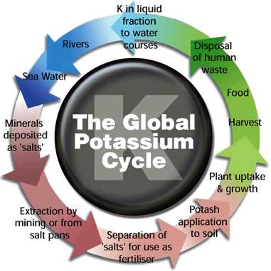Potash Cycle 10 June 2011.JPG
