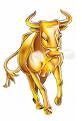 Gold Bull picture 27 feb 08